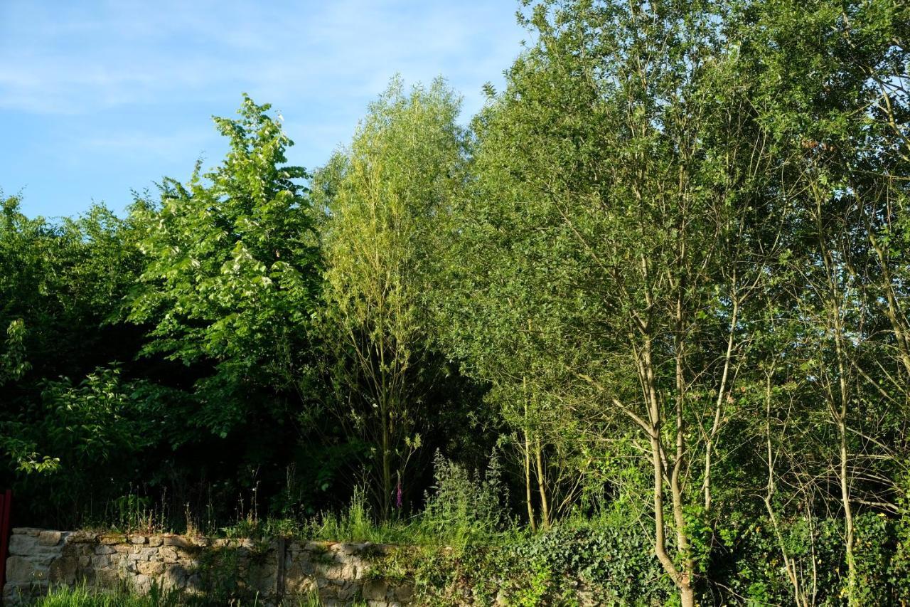 La Maison Jaune A La Janaie Parigné Exteriér fotografie