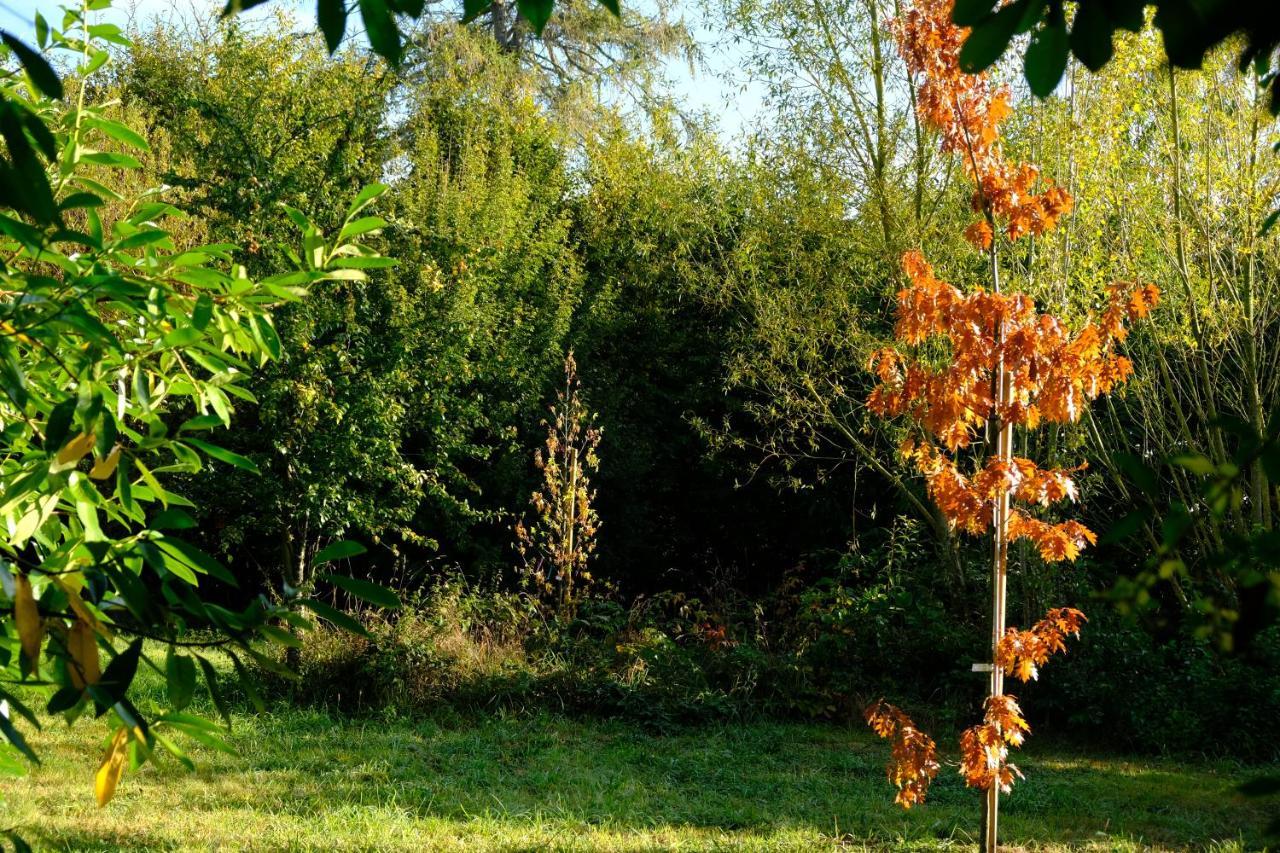 La Maison Jaune A La Janaie Parigné Exteriér fotografie